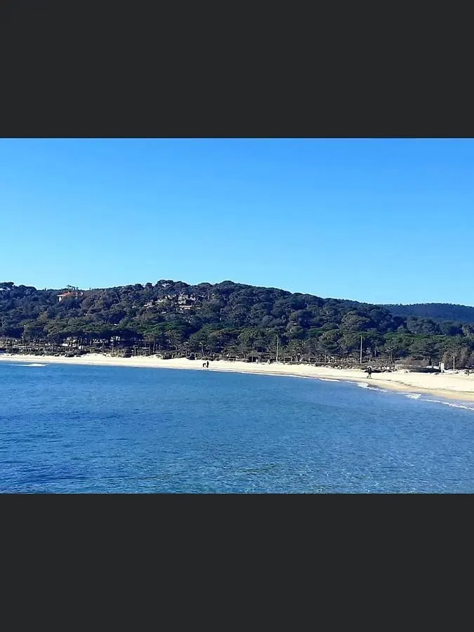 Appartement Pieds Dans L'Eau Vue Mer Bormes Les Mimosas France