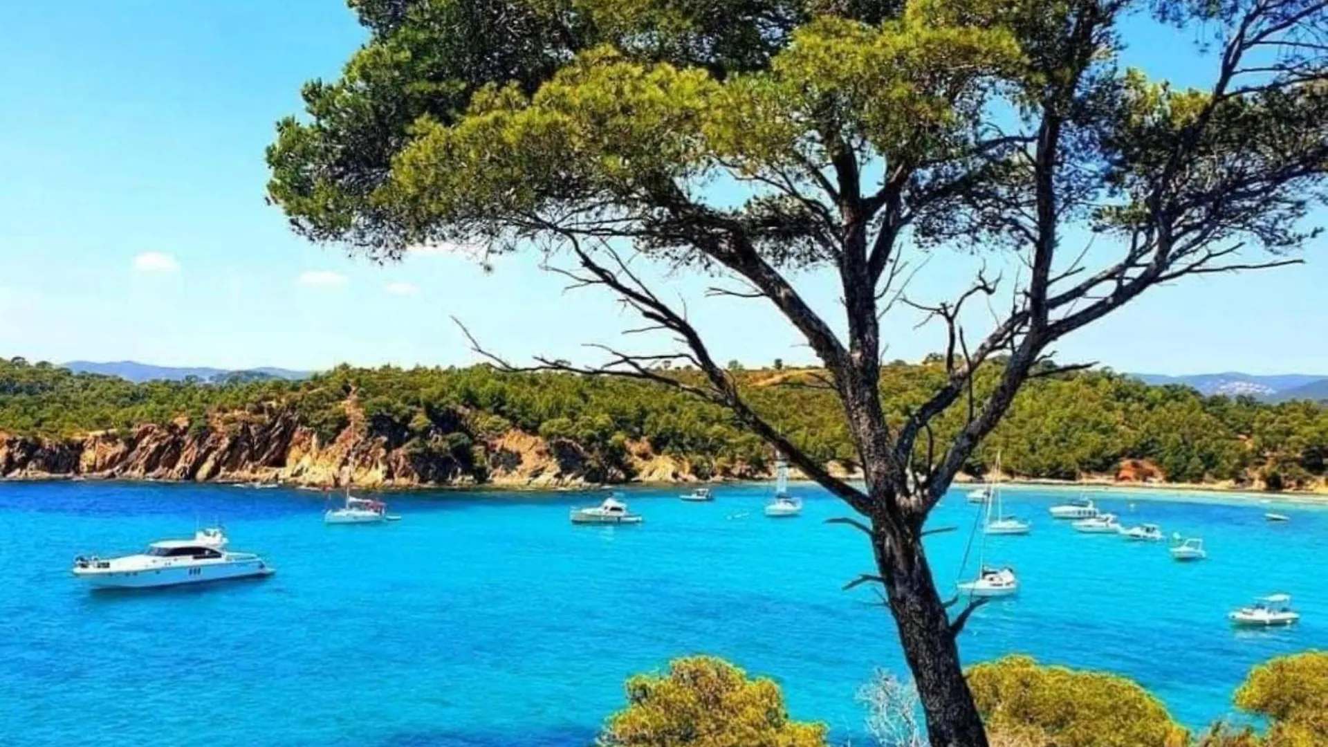 Appartement Pieds Dans L'Eau Vue Mer Bormes Les Mimosas